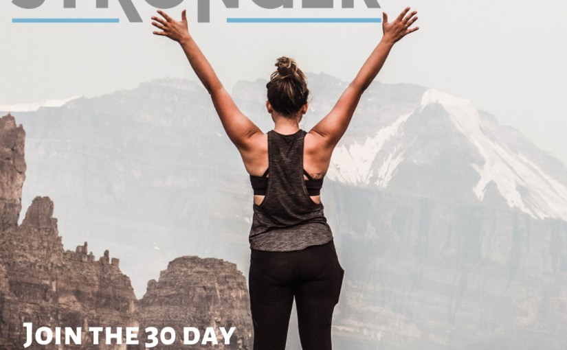 Hip Dysplasia Awareness Month Raffle: June 23rd